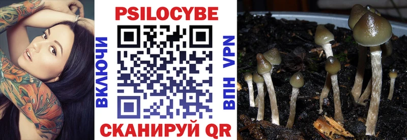 купить закладку  Крым  Галлюциногенные грибы Psilocybine cubensis 